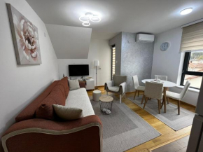 Aleksandar apartman Sokobanja